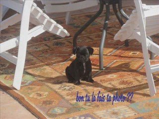 LES CARLIBOULIS LES TOUTES DERNIERES PHOTOS