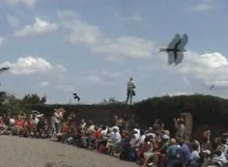 La volerie des aigles