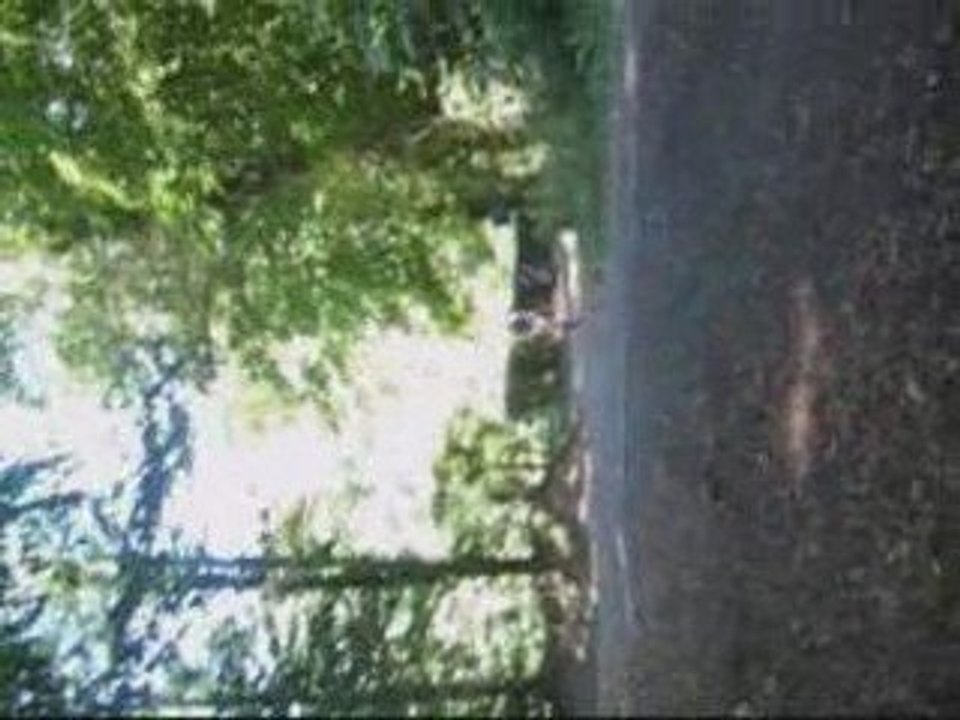 video velo