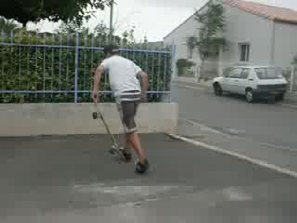 wallplant
