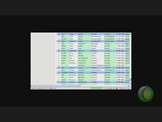 Global Domain Making Money By Working At Home