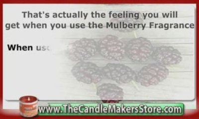 The Candle Makers Store: Mulberry Fragrance