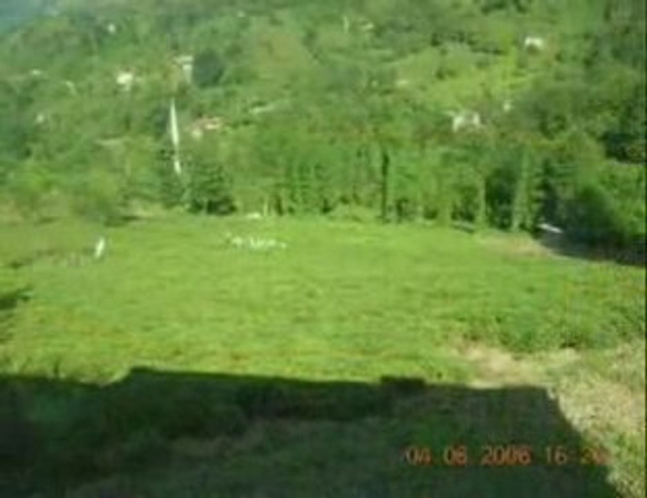 Arhavi