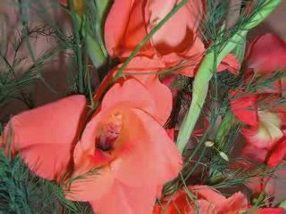 PhotoStory1.wp3 Kufle