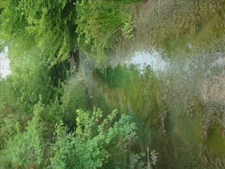 TÜRKİYE/YURTTAN KARELER (PLATON)