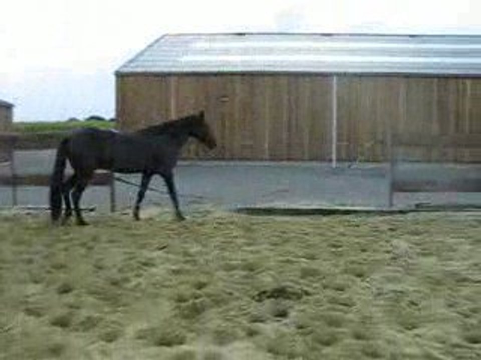 liberté Ulys
