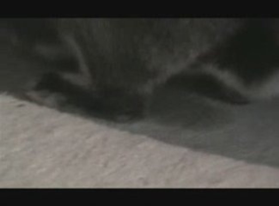 Bande Annonce du film "Robert"