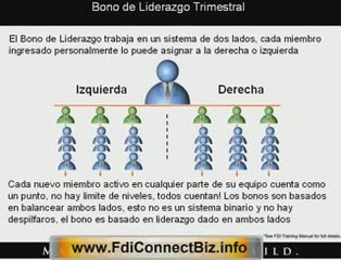 FDI Connect Presentacion de Negocio en Telecom Internacional