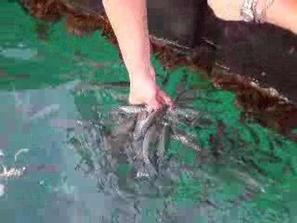 Çeşme hatırası