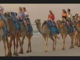 Cable Beach Camels Trek Western Australia