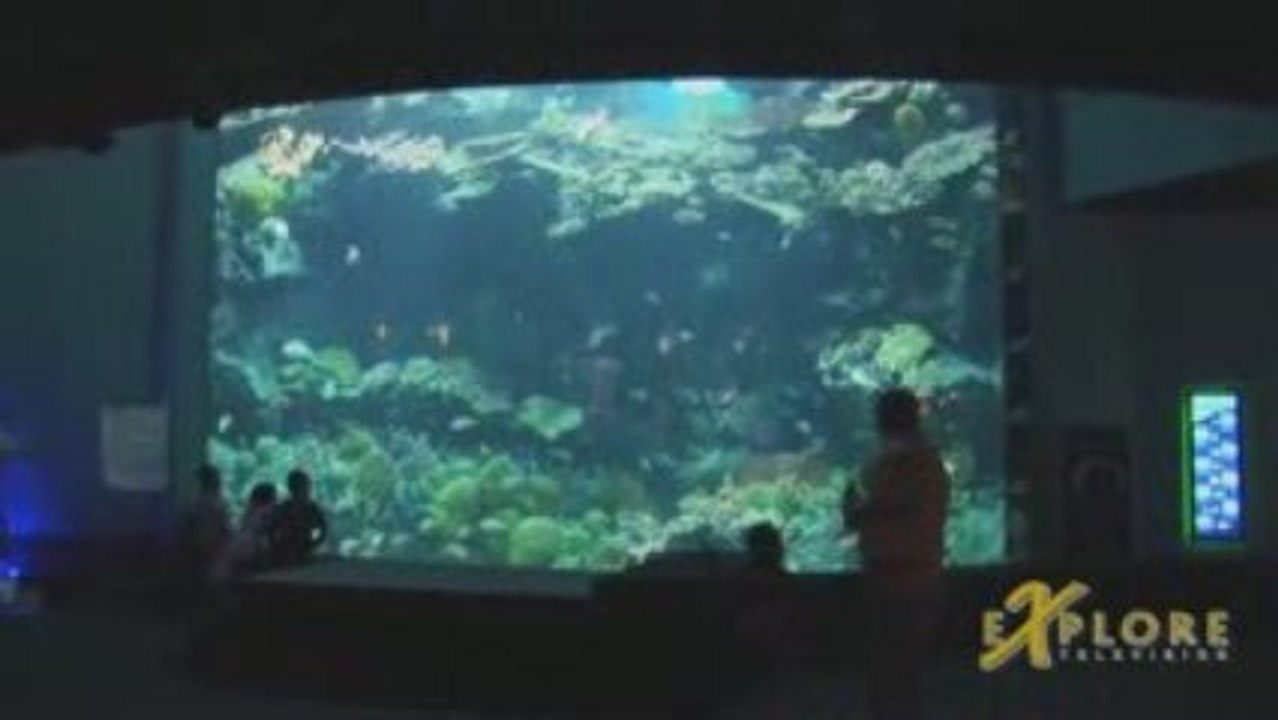 siam_ocean_world