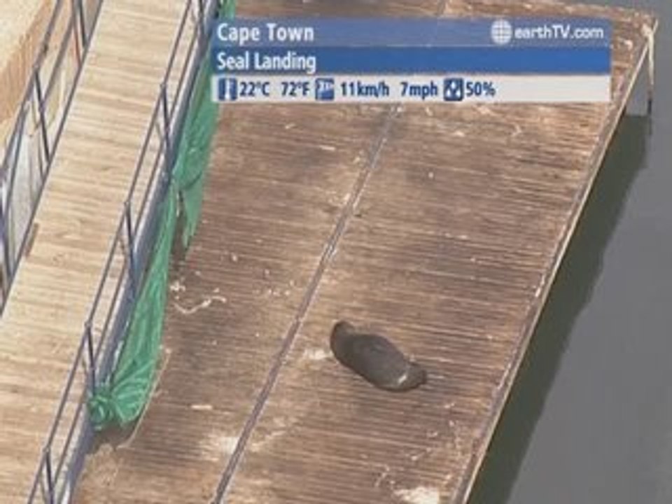 Arcachon - France, London - United Kingdom, Lugano - Ticino - Switzerland, Dubai - United Arab Emirates, Cape Town - South Africa, Palma de Mallorca - Spain, Manila - Philippines