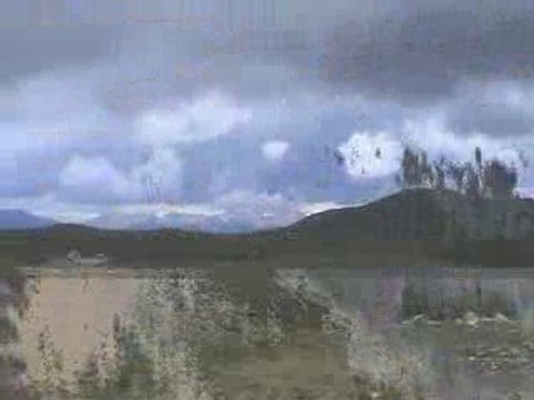 OS DE CIVIS 2009 - Pic Nègre