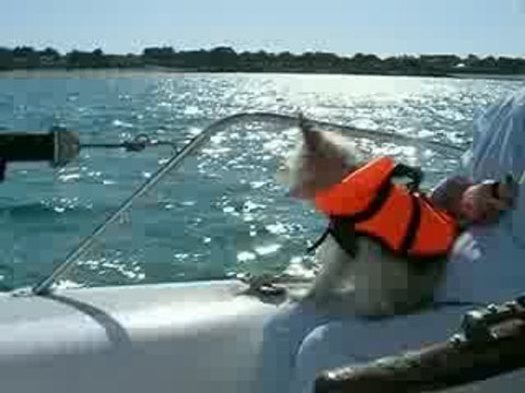 Premiere sortie en mer de DIVINE - le 29 aout 2009