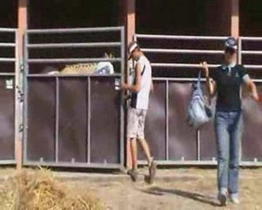 Sologn'pony suite