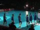 tournoi de bercy handball france-russie