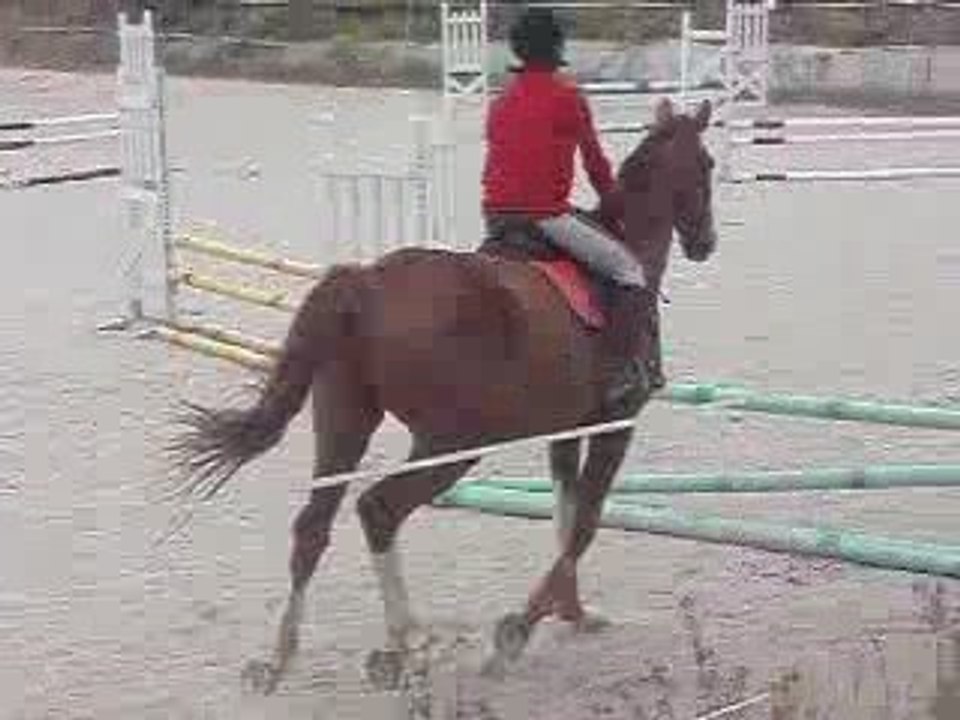 Moi & Isidor , Parcours
