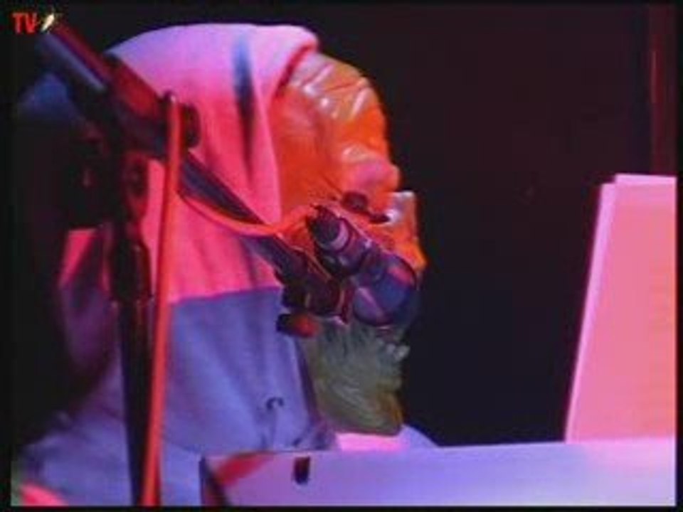 5 MINUTOS EN DIRECTO CUCARACHO