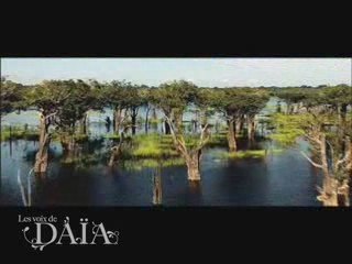 Daia La voix de la terre Making of