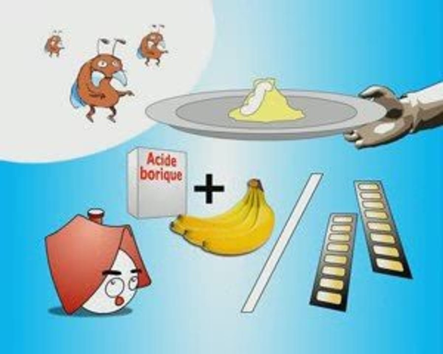 Ma casa bon vivre - Les cafards dans le placard