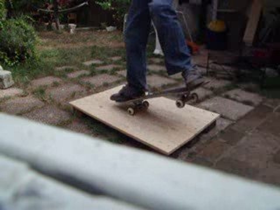 Ollie suivit d'un  nose manual sur ma palette avec croutade