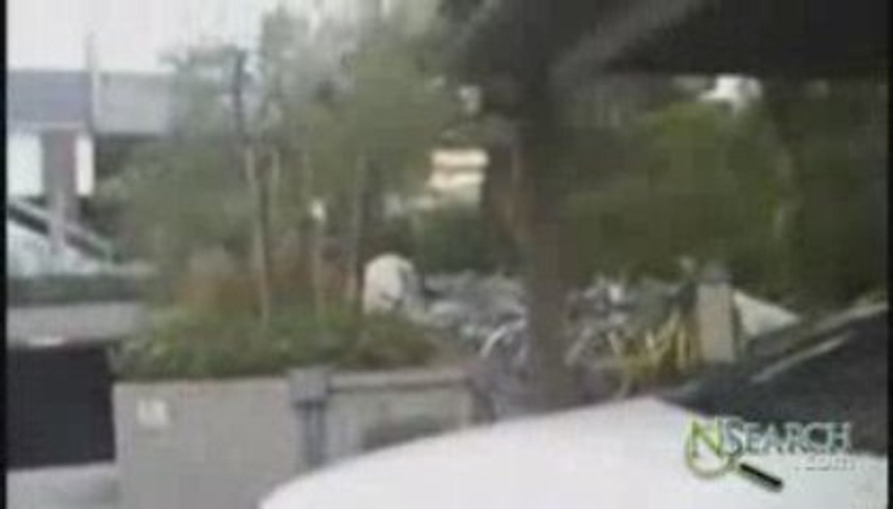 Continental Tire - GTC Fitter (8)