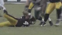 NFL Videos  2008  Best of Troy Polamalu