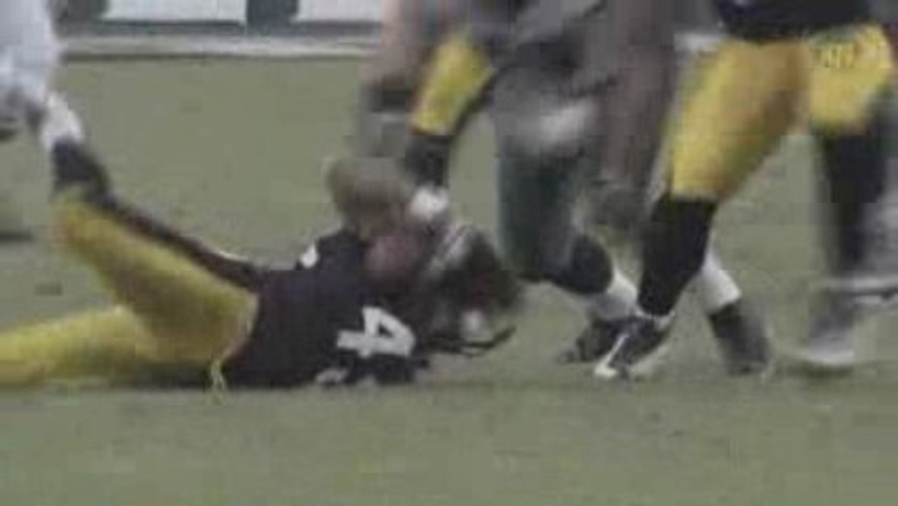 NFL Videos  2008  Best of Troy Polamalu