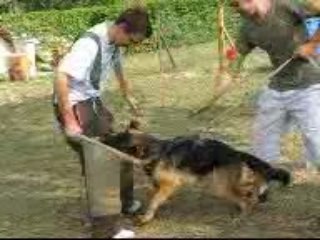 DOLCHE GABANA DE SAVAGE GARDEN