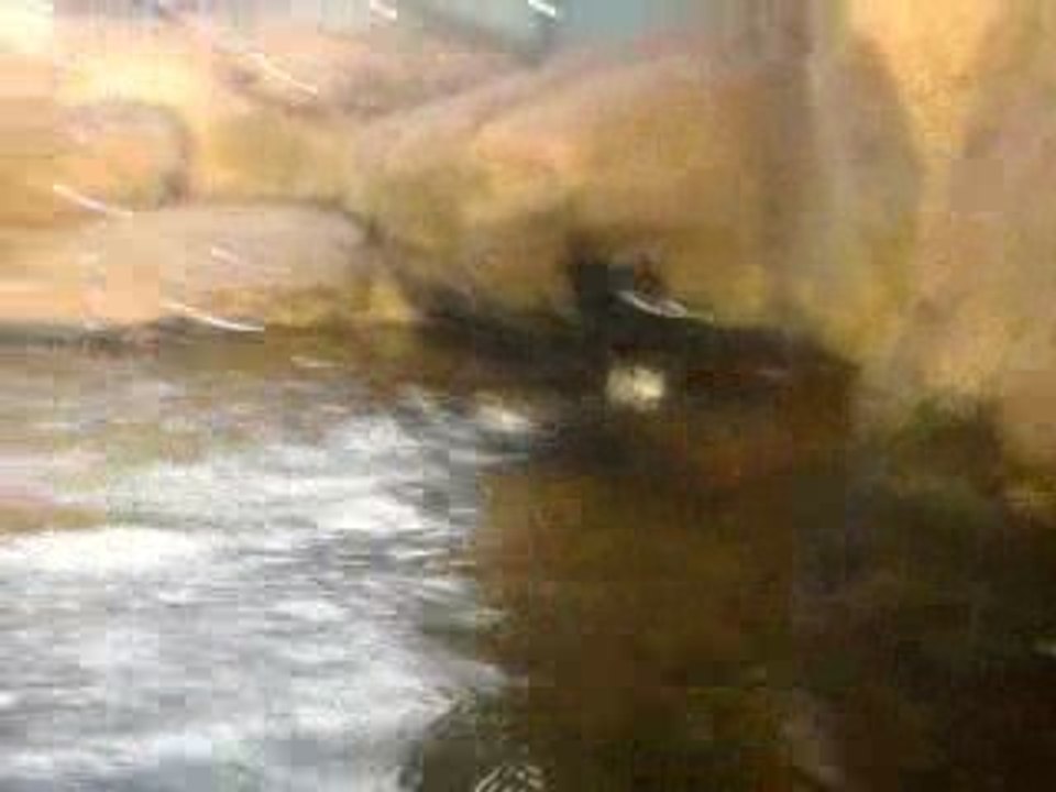 Vidéo0008