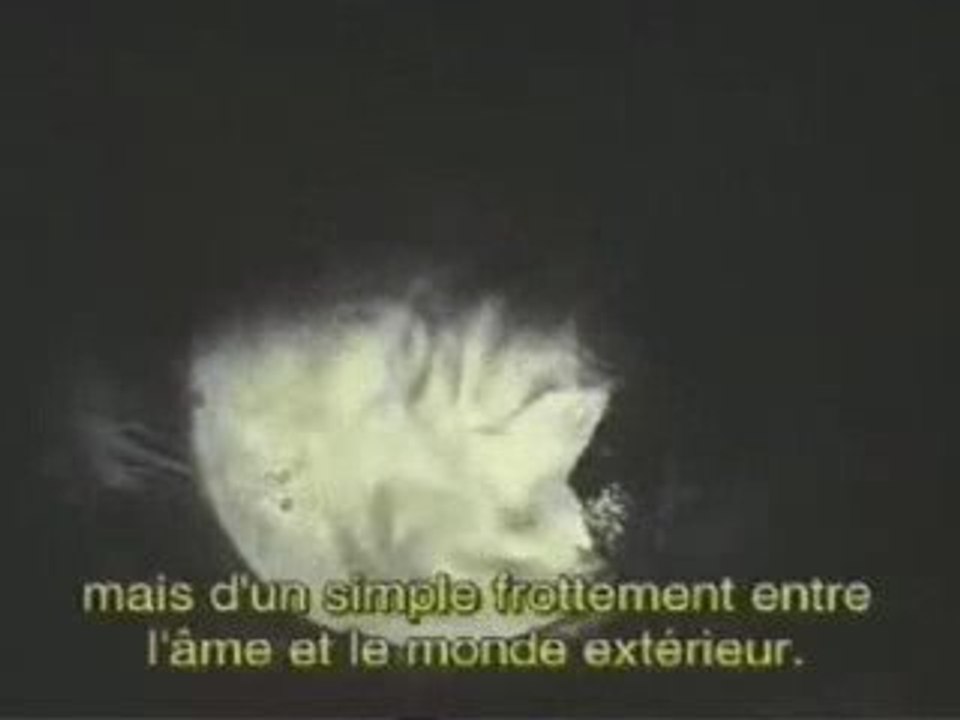 Toiles obscures 2 09 09
