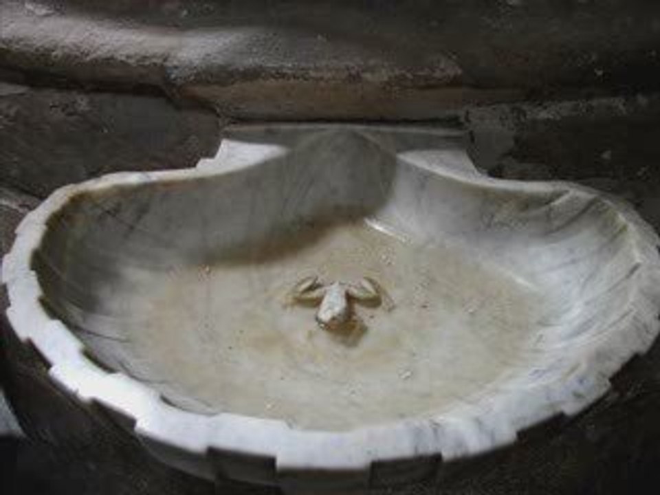 La grenouille de bénitier