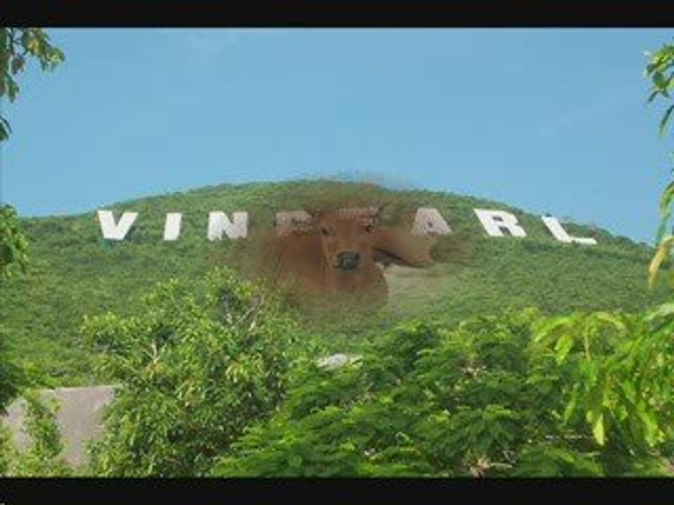 vietnam 2009