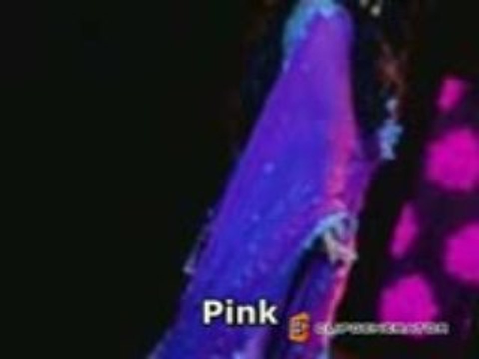 Gorgeous_xvid