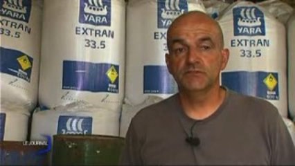 Ensilage du mais précoce à cause de la sécheresse (Vendée)