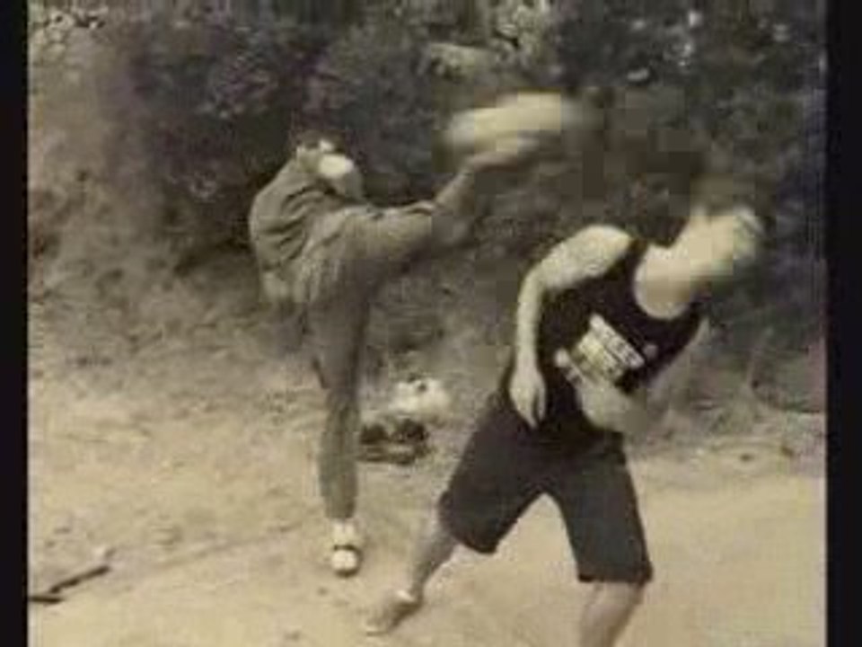 Logan VS Expert