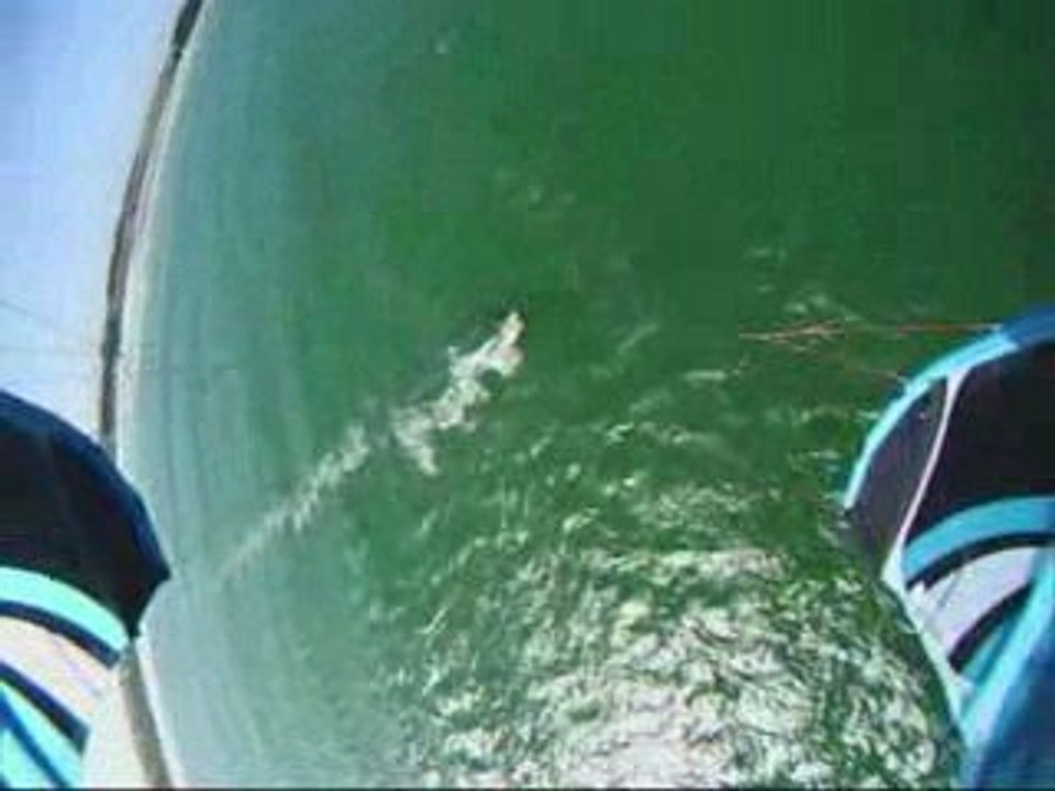 TREOMPAN KITE 2
