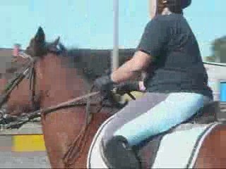 Halibi de l'Hermitage