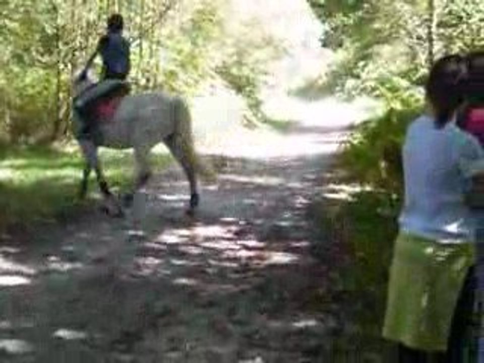 Cross ac Gazouille ^^