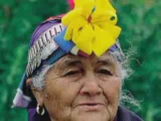 Volunteer Abroad in Chile, La Serena, Elqui Valley