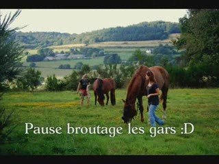 Chez STL - Liberté dans la parcelle "boulot"