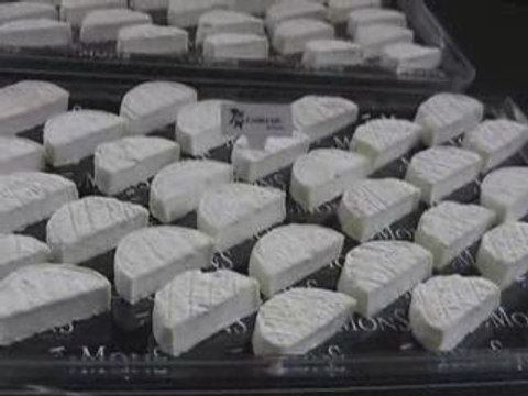 Champagnes et fromages : les bons mariages