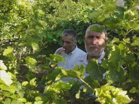 KARAMAN BUCAKKISLA KÖYÜ