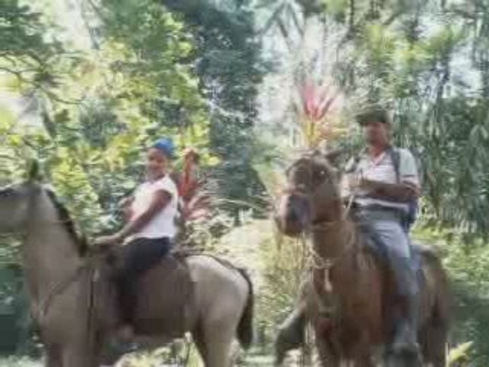 Volunteer Abroad in Costa Rica: Sea Turtle Conservation