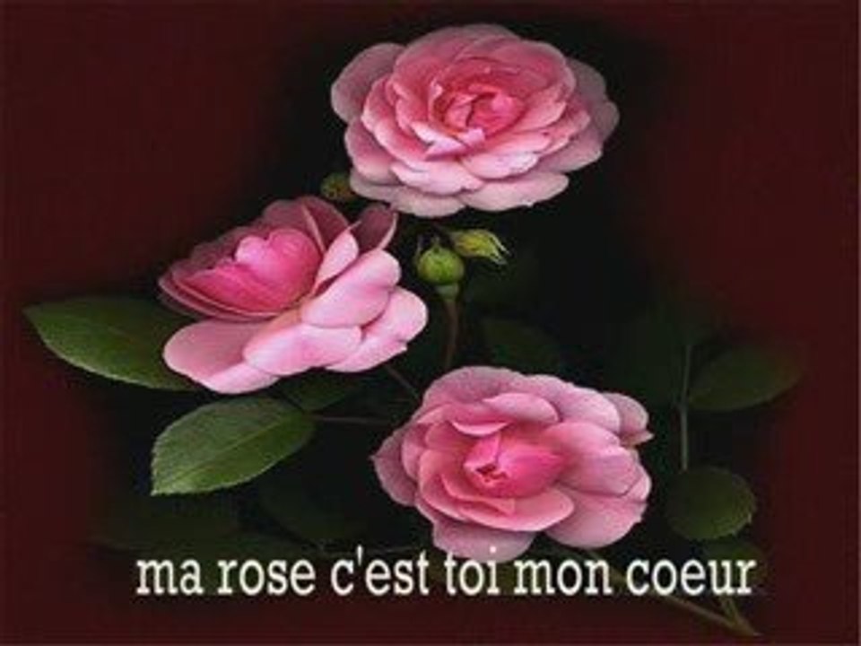 je t aime mon coeur