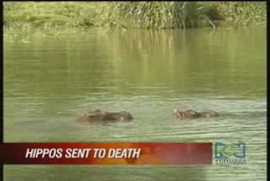 RCN Colombia News TV Colombia Promo 090309