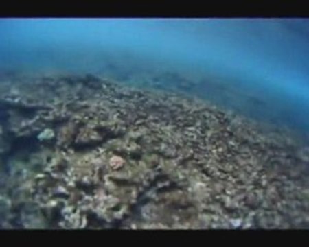 Surf Poti en Mentawai Go Pro