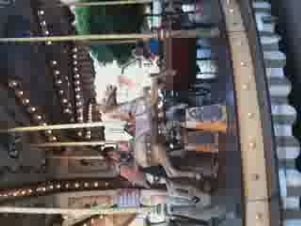 Alice dans le manège