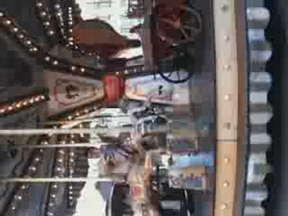 Alice sur le manège 2