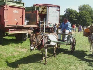 fête de l'âne Suarce 2009